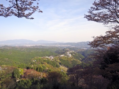 吉野山1