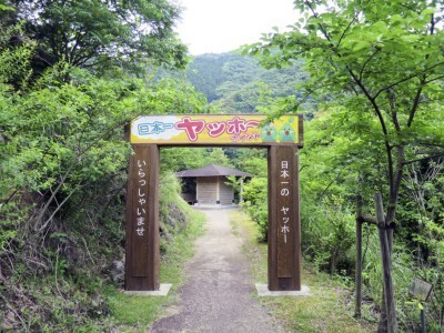 悤bz[